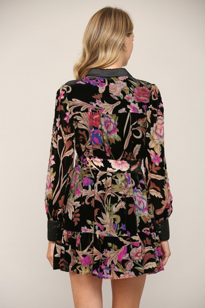 Floral Velvet Collared Flare Dress