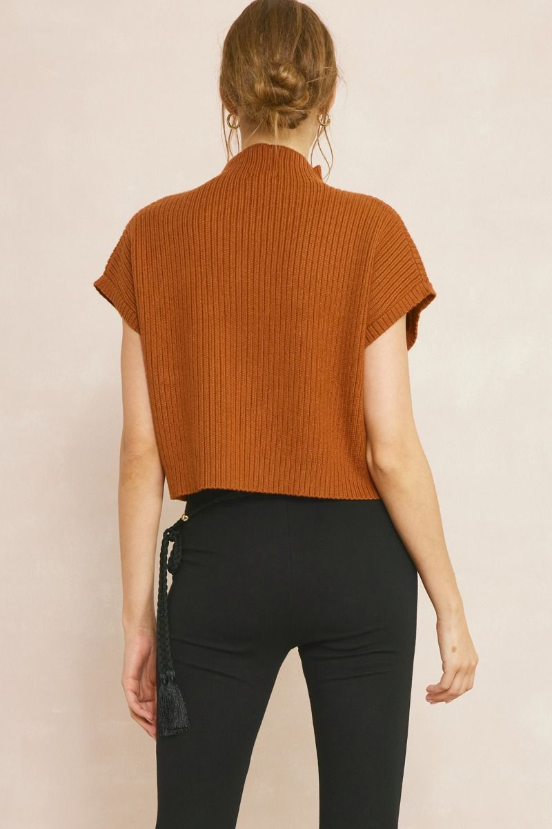 Copper Knitted Mock Neck Cropped Top